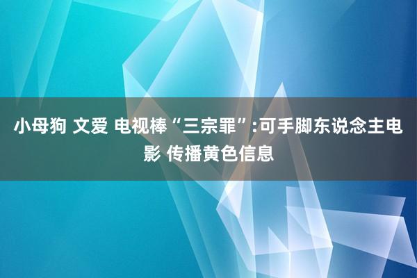 小母狗 文爱 电视棒“三宗罪”:可手脚东说念主电影 传播黄色信息