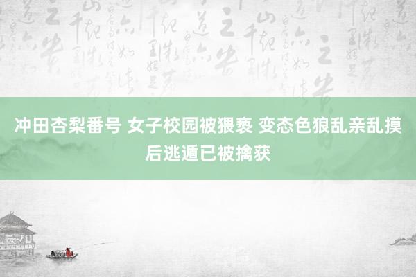 冲田杏梨番号 女子校园被猥亵 变态色狼乱亲乱摸后逃遁已被擒获