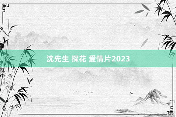 沈先生 探花 爱情片2023