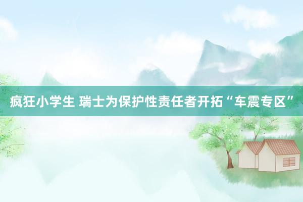 疯狂小学生 瑞士为保护性责任者开拓“车震专区”